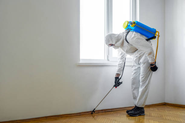 Best Residential Pest Control  in Berry College, GA