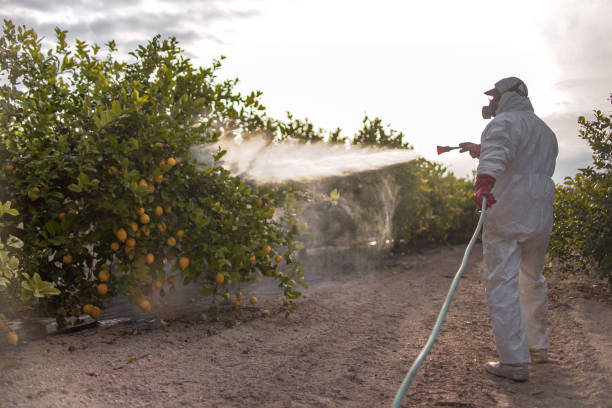 Best Commercial Pest Control Services  in Berry College, GA