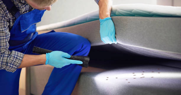 Reliable Berry College, GA Pest Control Solutions