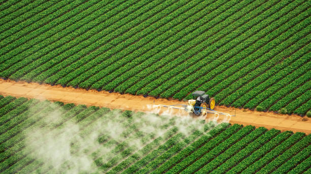 Best Best Pest Control Companies  in Berry College, GA
