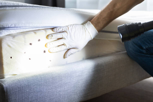 Best Local Pest Control Services  in Berry College, GA