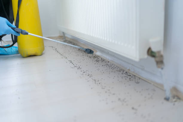 Best Exterminator Services  in Berry College, GA