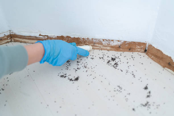 Best Emergency Pest Control  in Berry College, GA